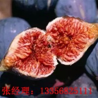 直销波姬无花果       香味浓厚     果肉好吃