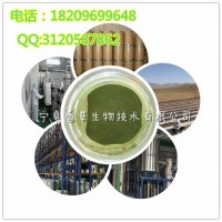 **桃提取物批发价格 宁夏批发奇异果粉 浓缩汁粉 新鲜**桃原浆现货