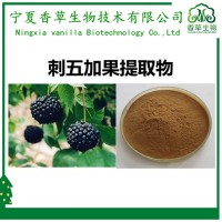 刺五加提取物多糖30% 香草生物供应刺五加果粉浓缩粉 刺五加果原浆现做