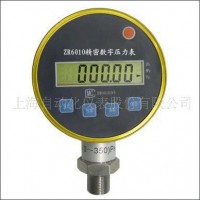 上海仪表四厂 数字压力表 压力数字显示仪表 压力仪表 XMY10