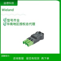 wieland威琅 多时段重复周期定时器 KPT31KD  R2.111.0040.1