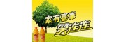 笑连连