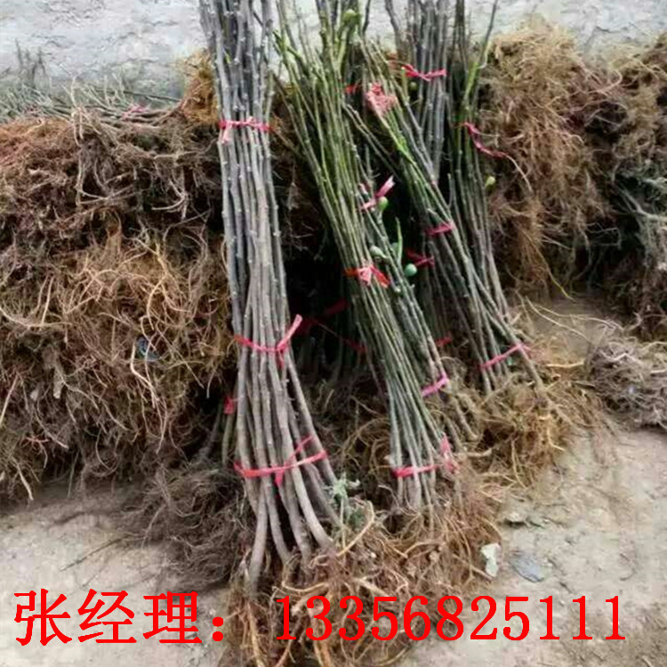 8_副本