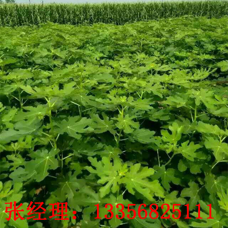 6_副本