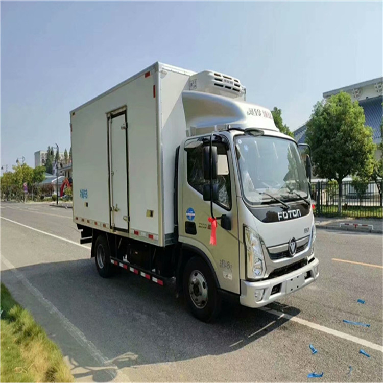小型新鲜果肉保温车 江玲冷藏运输车诚信推荐