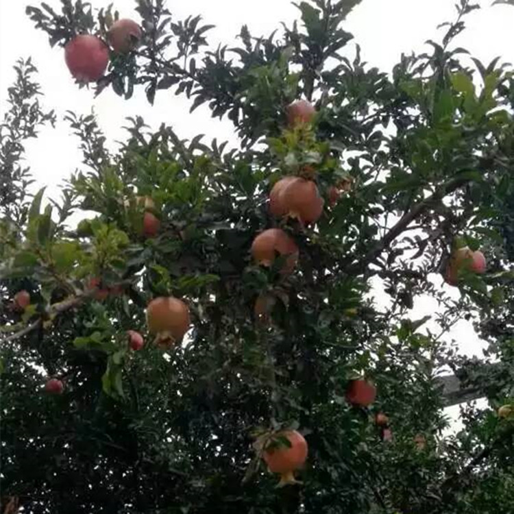 153