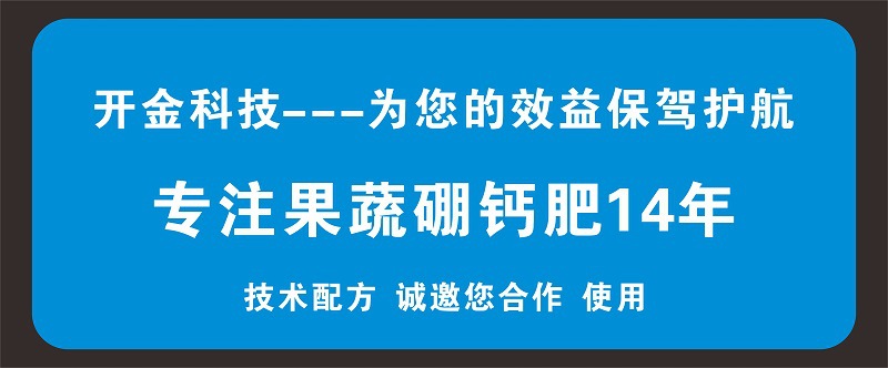 专注