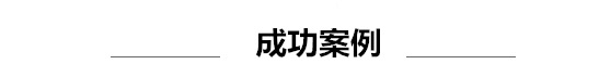 成功案例