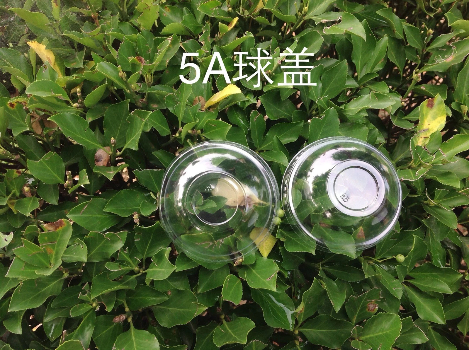 2015-09-21 (6)