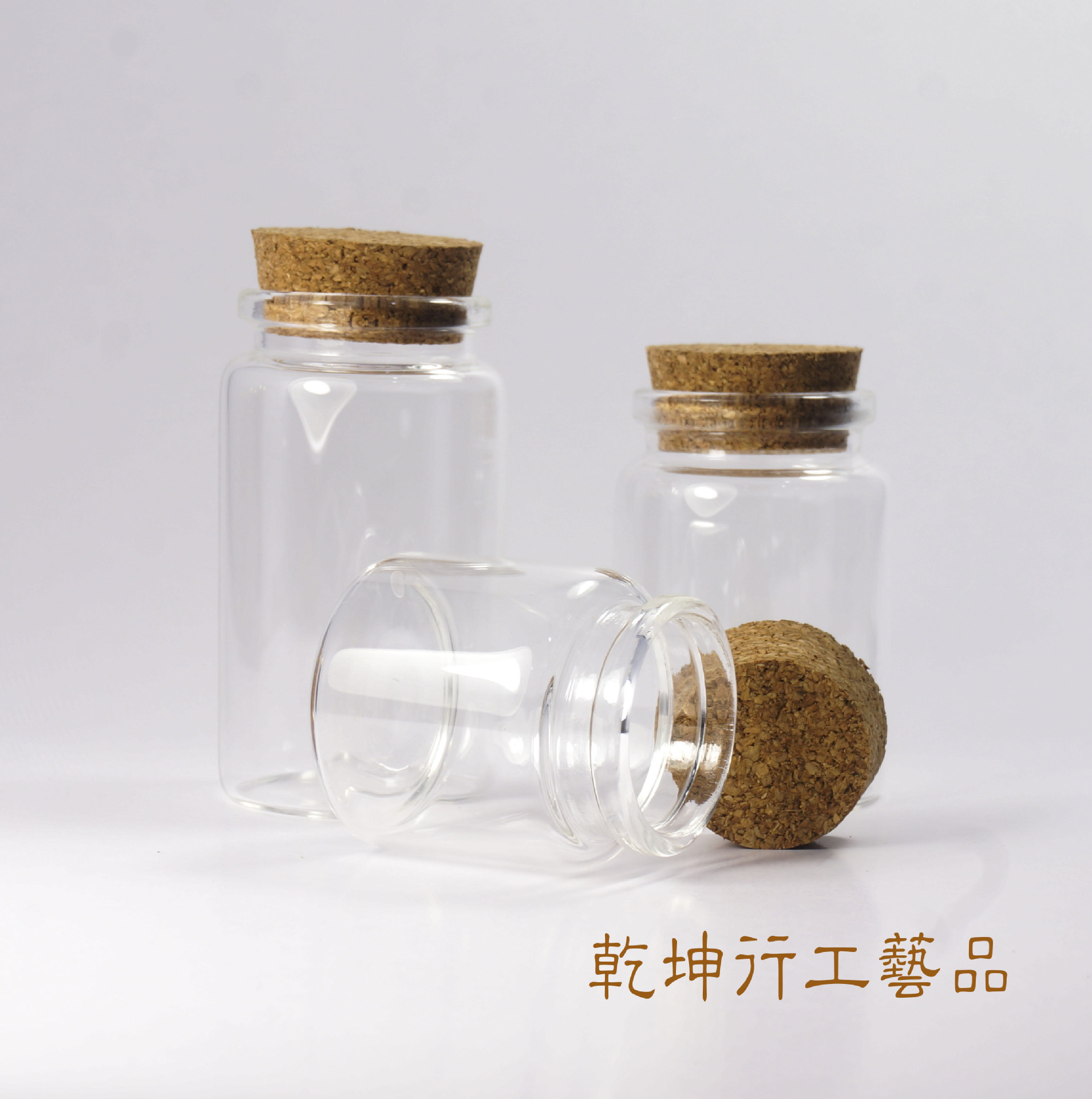 DSC07408a