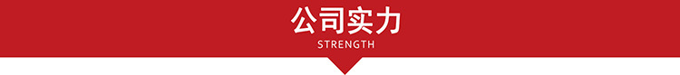 公司实力 公司实力